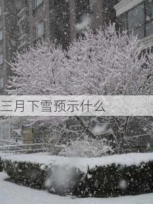 三月下雪预示什么