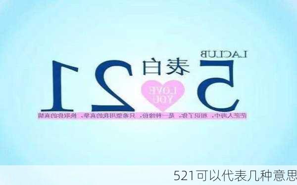 521可以代表几种意思