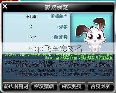 qq飞车宠物名