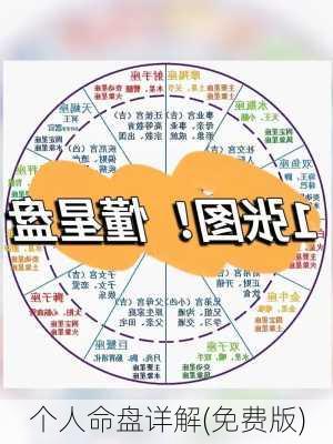 个人命盘详解(免费版)