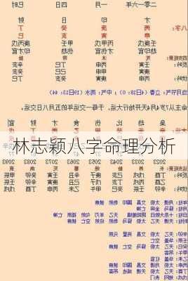 林志颖八字命理分析