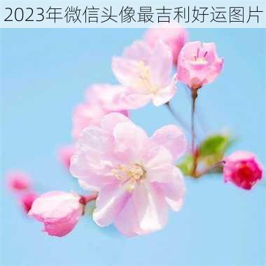 2023年微信头像最吉利好运图片