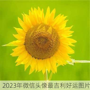 2023年微信头像最吉利好运图片