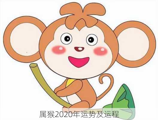 属猴2020年运势及运程