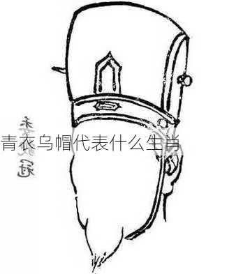 青衣乌帽代表什么生肖