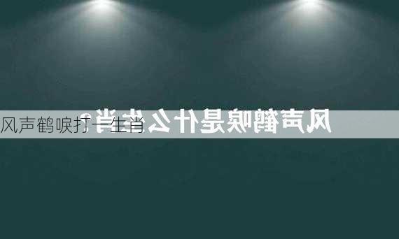 风声鹤唳打一生肖