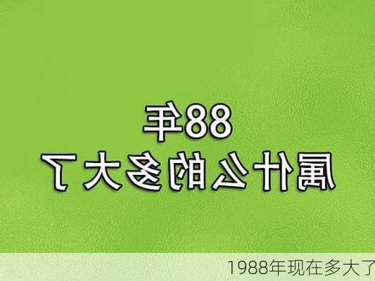 1988年现在多大了