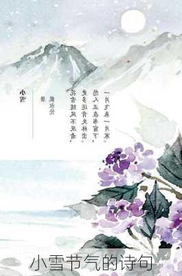 小雪节气的诗句