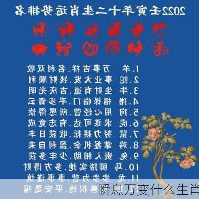 瞬息万变什么生肖