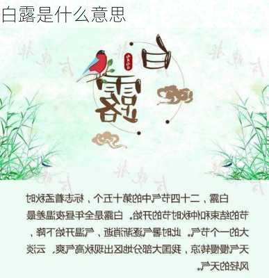 白露是什么意思