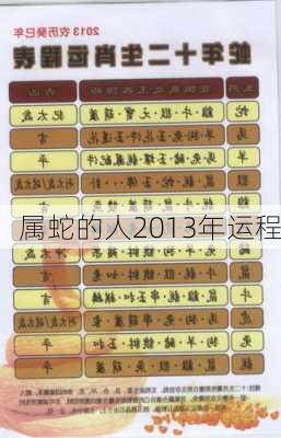 属蛇的人2013年运程