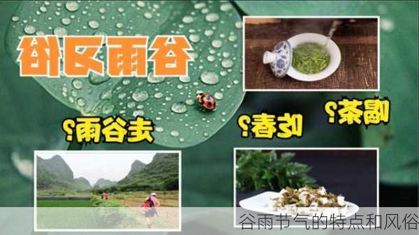 谷雨节气的特点和风俗