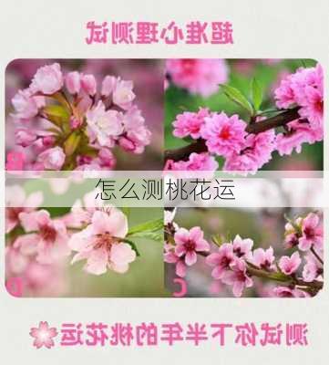 怎么测桃花运