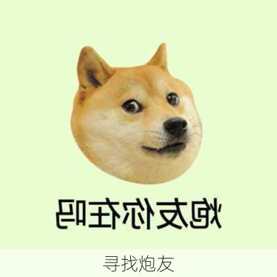 寻找炮友