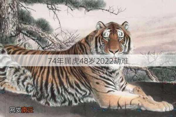 74年属虎48岁2022劫难