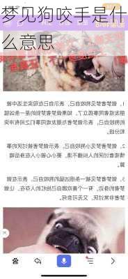 梦见狗咬手是什么意思