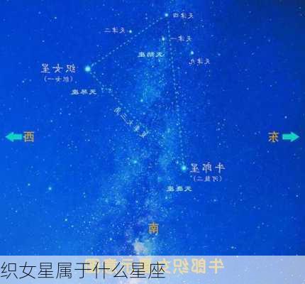 织女星属于什么星座