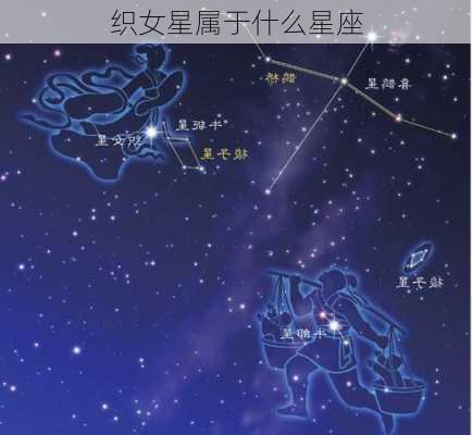 织女星属于什么星座