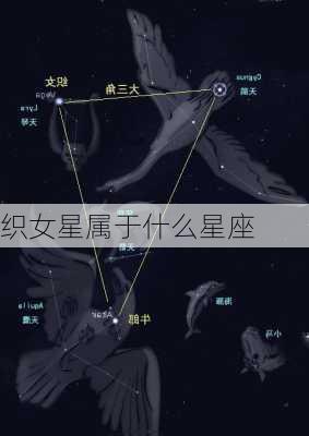 织女星属于什么星座