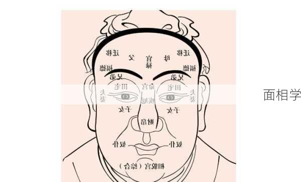 面相学