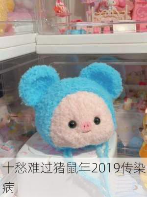 十愁难过猪鼠年2019传染病