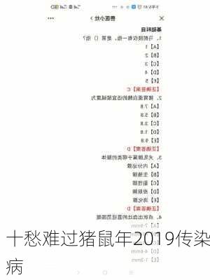 十愁难过猪鼠年2019传染病