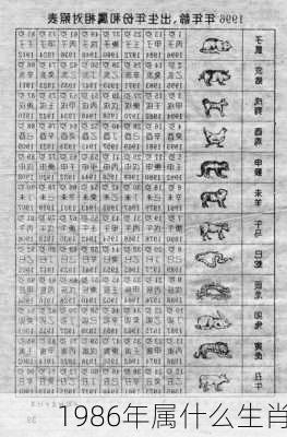 1986年属什么生肖