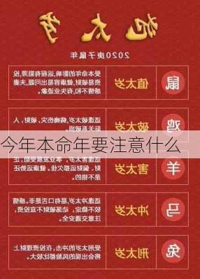 今年本命年要注意什么