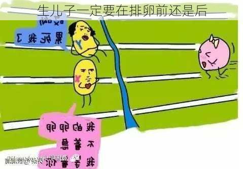 生儿子一定要在排卵前还是后