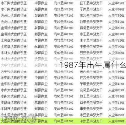 1987年出生属什么