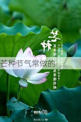 芒种节气常做的