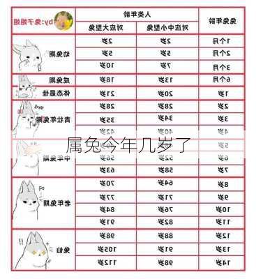 属兔今年几岁了