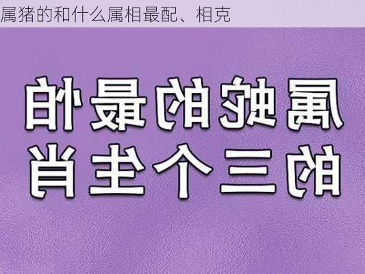 属猪的和什么属相最配、相克