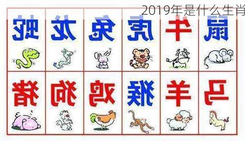 2019年是什么生肖