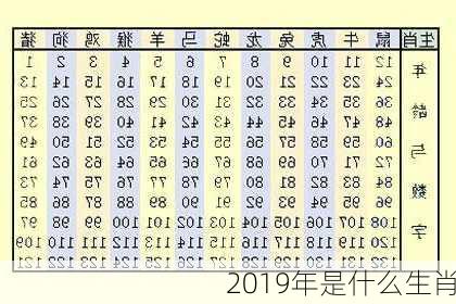 2019年是什么生肖