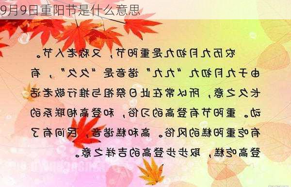 9月9日重阳节是什么意思