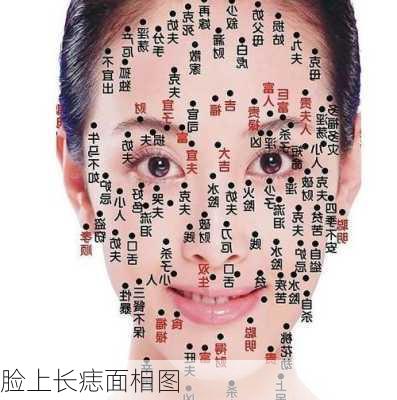 脸上长痣面相图