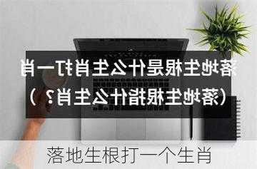 落地生根打一个生肖