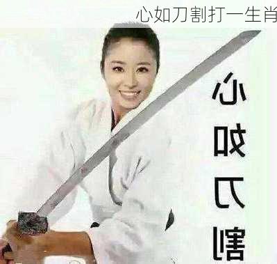 心如刀割打一生肖