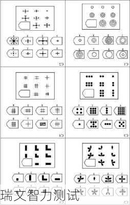 瑞文智力测试