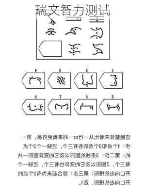 瑞文智力测试