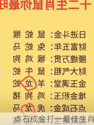 点石成金打一最佳生肖