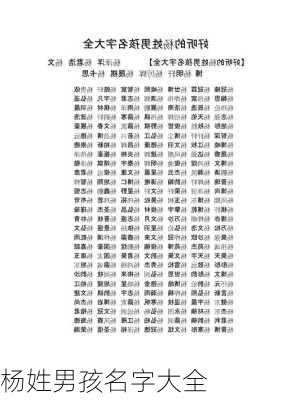 杨姓男孩名字大全