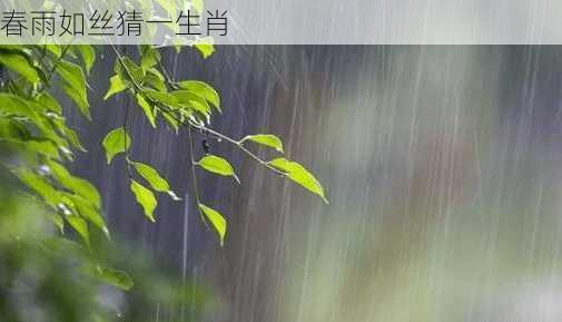 春雨如丝猜一生肖