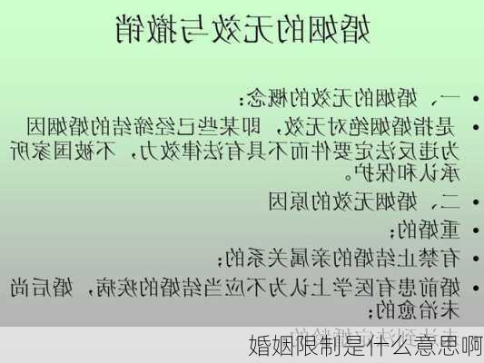 婚姻限制是什么意思啊