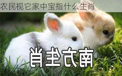 农民视它家中宝指什么生肖