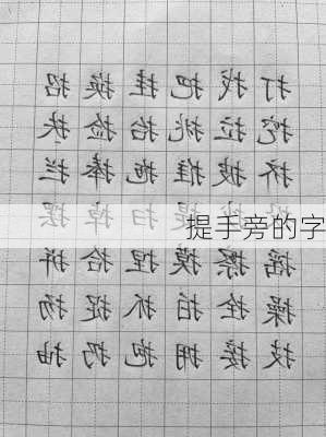 提手旁的字