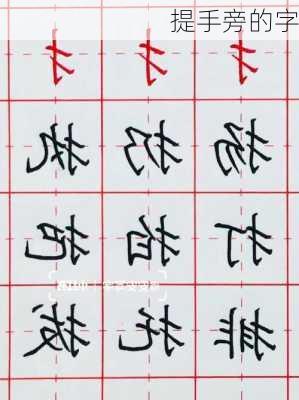 提手旁的字