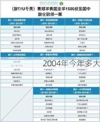 2004年今年多大