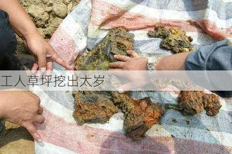 工人草坪挖出太岁